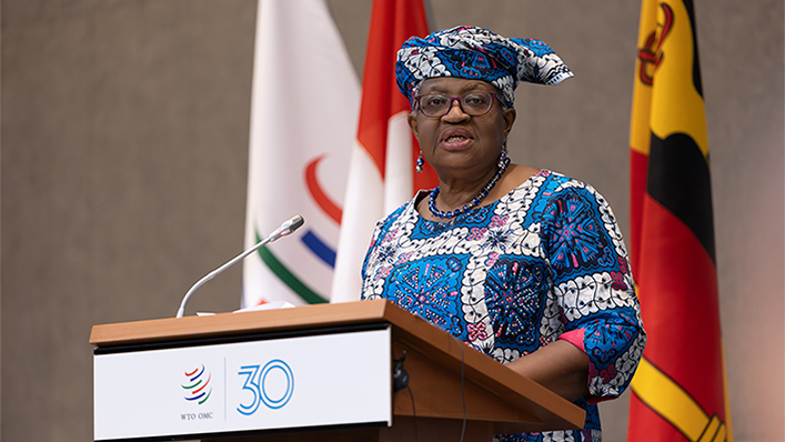 Marking 30th anniversary, the WTO reflects on historic achievements and future challenges