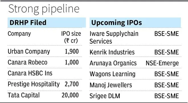 Primary market shows signs of revival