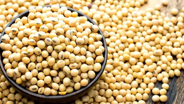 US industry projects soyabeans’ sustainability, health benefits to garner more market share
