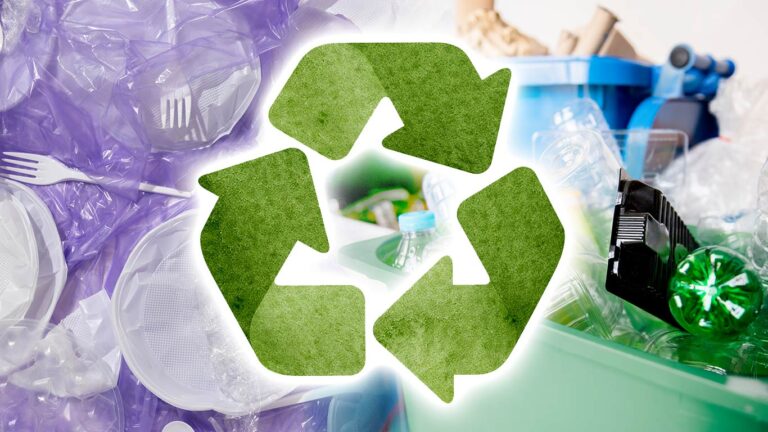 CRB to Host Roundtable on SME Role in Plastic Recycling Ahead of World Environment Day 2025