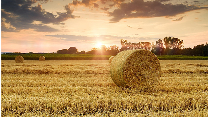 Agriculture negotiations Chair reports on prospects for progress ahead of MC14